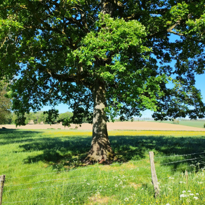 De Nanteuil à Boutigny